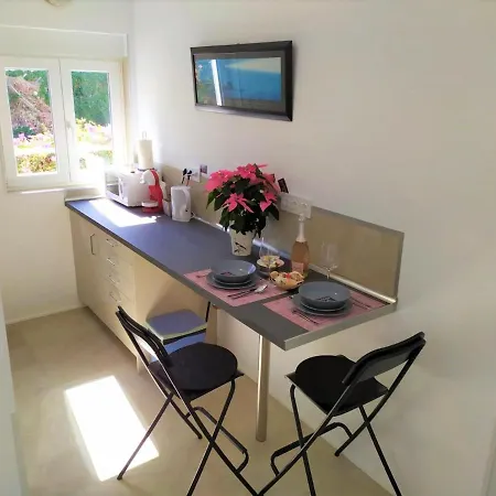 Fantastico-4-top-studio-mit-terrasse-und-balkon-in-zentrum-von-puerto-de-la-cruz-teneriffa